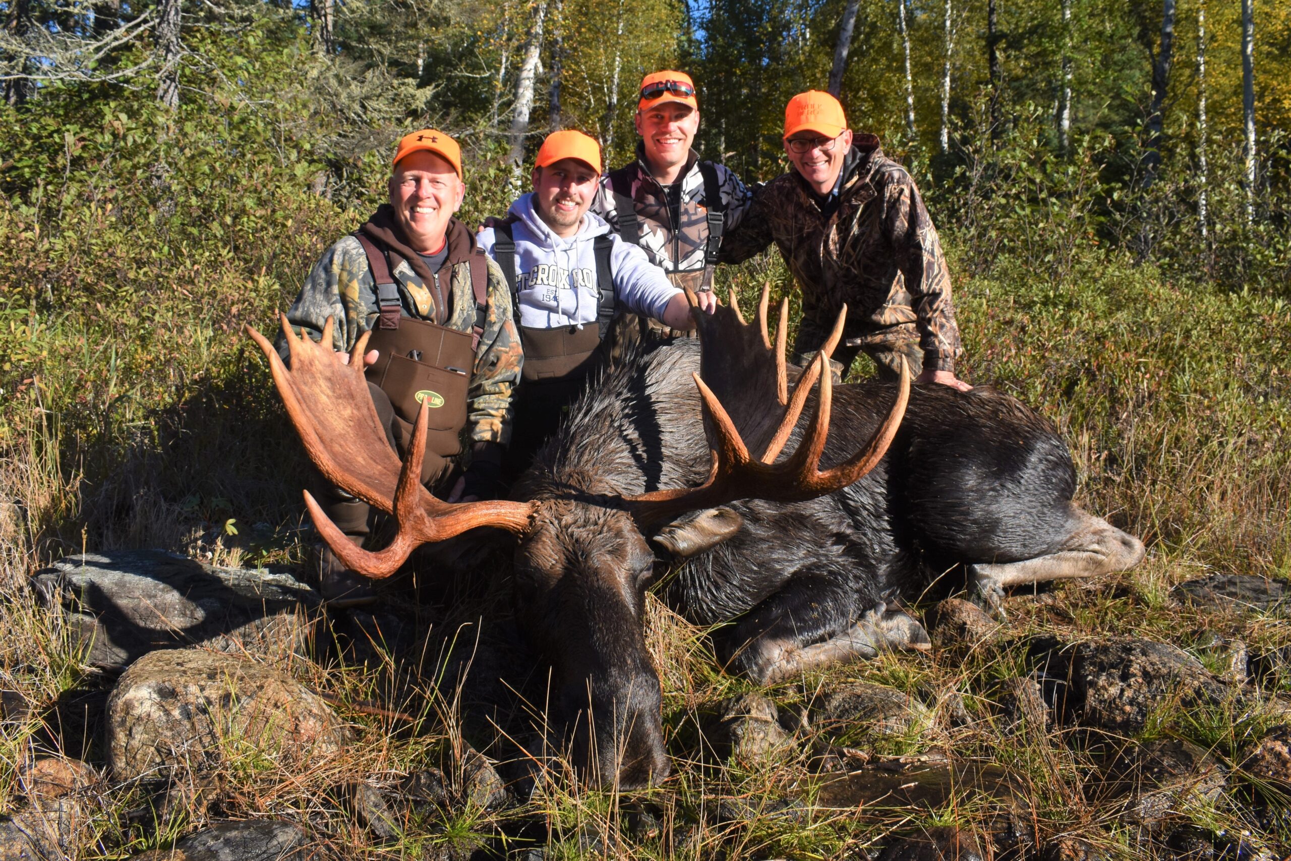 Not only great Fishing we offer Fully guided Moose hunts!